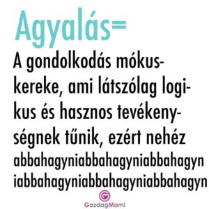 14199492_10155359998773306_3820885736289045845_n
